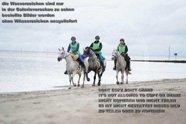 s_K3F04733.JPG